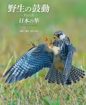 野生の鼓動 Part4 - 圖片 1