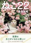 ねこ22(にゃんにゃん) ねこのきもち - 圖片 1