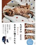 ちびすけmeetsおおきい猫さんたち - 圖片 1