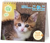 ミニカレンダーこねこ 2024 [カレンダー] - 圖片 1