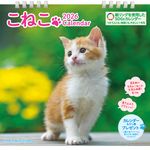 こねこカレンダー 2026 [カレンダー] - 圖片 1