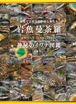 岩魚曼荼羅 - 圖片 1
