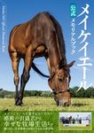 メイケイエール公式メモリアルブック - 圖片 1