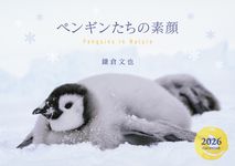 ペンギンたちの素顔カレンダー 2026 [カレンダー] - 圖片 1