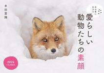 北の森に生きる愛らしい動物たちの素顔カレンダー 2026 [カレンダー] - 圖片 1
