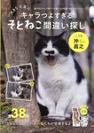 大きな写真のキャラつよすぎるそとねこ間違い探し - 圖片 1
