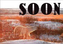 SOON 氷の橋を目指すシロクマ - 圖片 1