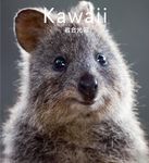 Kawaii IWAGO’S BOOK 10 - 圖片 1
