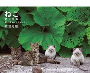 岩合光昭 ねこ 卓上週めくりカレンダー 2026 [カレンダー] - 圖片 1