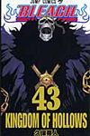 BLEACH 43 ジャンプコミックス - 圖片 1