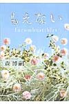 もえない(文庫) - 圖片 1