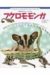 フクロモモンガ - 圖片 1