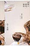 即興の解体/懐胎 - 圖片 1