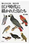 江戸時代に描かれた鳥たち - 圖片 1