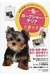ヨ-クシャ-・テリアと暮らす - 圖片 1