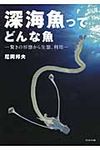 深海魚ってどんな魚 - 圖片 1