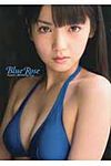 Blue Rose - 圖片 1
