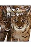 世界の野生ネコ - 圖片 1