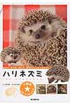 ハリネズミ - 圖片 1