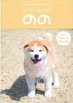 あいにいける秋田犬のの - 圖片 1