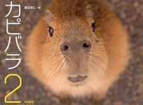 カピバラ 2 - 圖片 1
