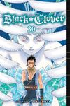 Black Clover 30 - 圖片 1
