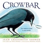Crowbar: The Smartest Bird in the World - 圖片 1