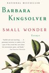 Small Wonder: Essays - 圖片 1