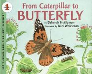 From Caterpillar to Butterfly - 圖片 1