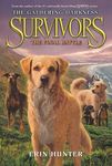 Survivors: The Gathering Darkness #6: The Final Battle - 圖片 1