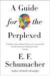 A Guide for the Perplexed - 圖片 1