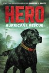 Hero: Hurricane Rescue - 圖片 1