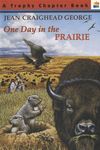 One Day in the Prairie - 圖片 1