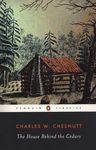 The House Behind the Cedars - 圖片 1