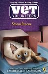 Storm Rescue - 圖片 1