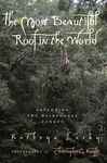 The Most Beautiful Roof in the World: Exploring the Rainforest Canopy - 圖片 1