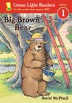Big Brown Bear - 圖片 1