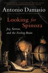 Looking for Spinoza: Joy, Sorrow, and the Feeling Brain - 圖片 1