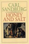 Honey and Salt - 圖片 1