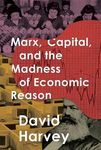 Marx, Capital, and the Madness of Economic Reason - 圖片 1