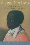Strange New Land: Africans in Colonial America - 圖片 1