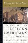 To Make Our World Anew: Volume II: A History of African Americans Since 1880 - 圖片 1