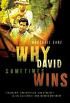 Why David Sometimes Wins: Leadership, Organization, and Strategy in the California Farm Worker Movement - 圖片 1
