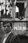 The Selected Poetry of Pier Paolo Pasolini - 圖片 1