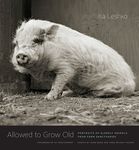 Allowed to Grow Old: Portraits of Elderly Animals from Farm Sanctuaries - 圖片 1