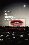 What Do Pictures Want?: The Lives and Loves of Images - 圖片 1