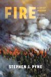 Fire: A Brief History - 圖片 1