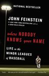 Where Nobody Knows Your Name: Life in the Minor Leagues of Baseball - 圖片 1