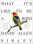 What It's Like to Be a Bird: From Flying to Nesting, Eating to Singing--What Birds Are Doing, and Why - 圖片 1