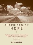 Surprised by Hope Bible Study Participant's Guide: Rethinking Heaven, the Resurrection, and the Mission of the Church - 圖片 1